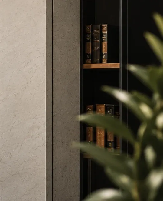Estante com livros e uma planta no escritório.